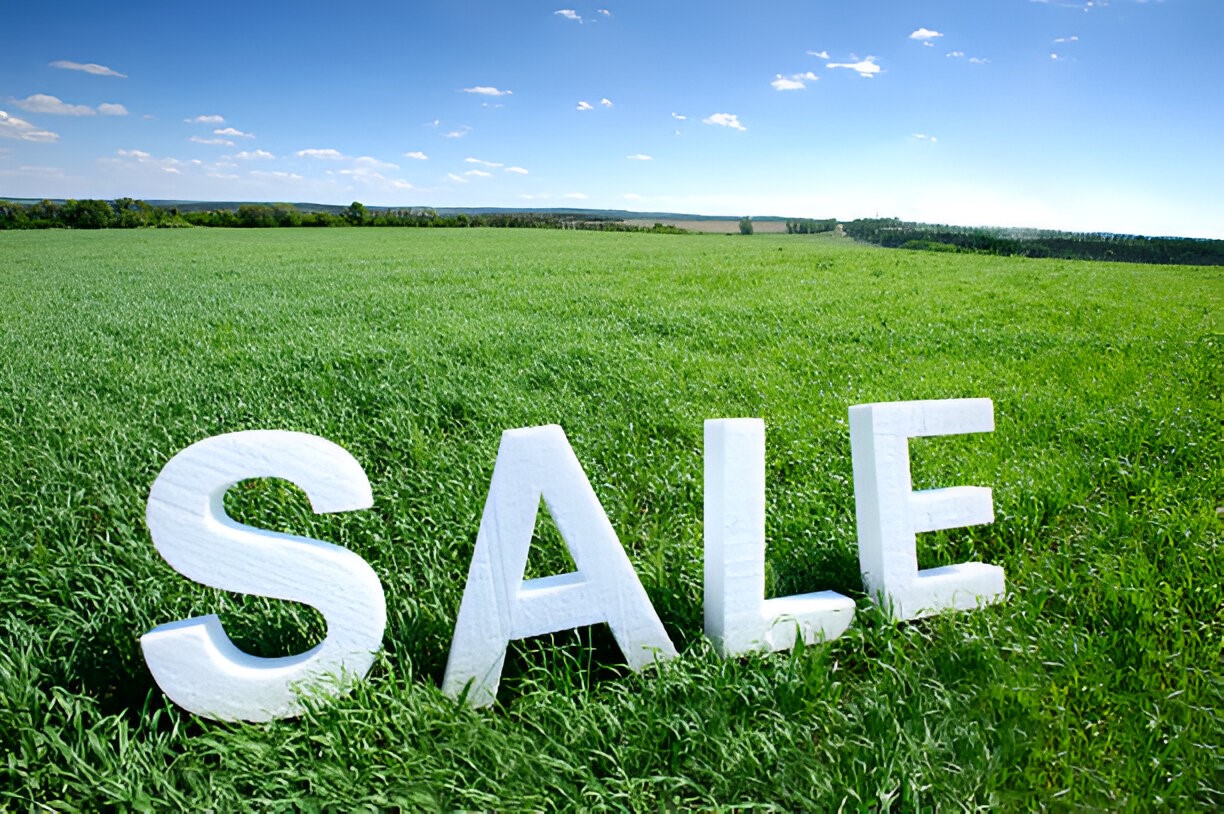 sale
